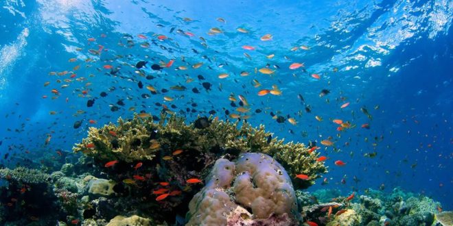 journée-internationale-biodiversité